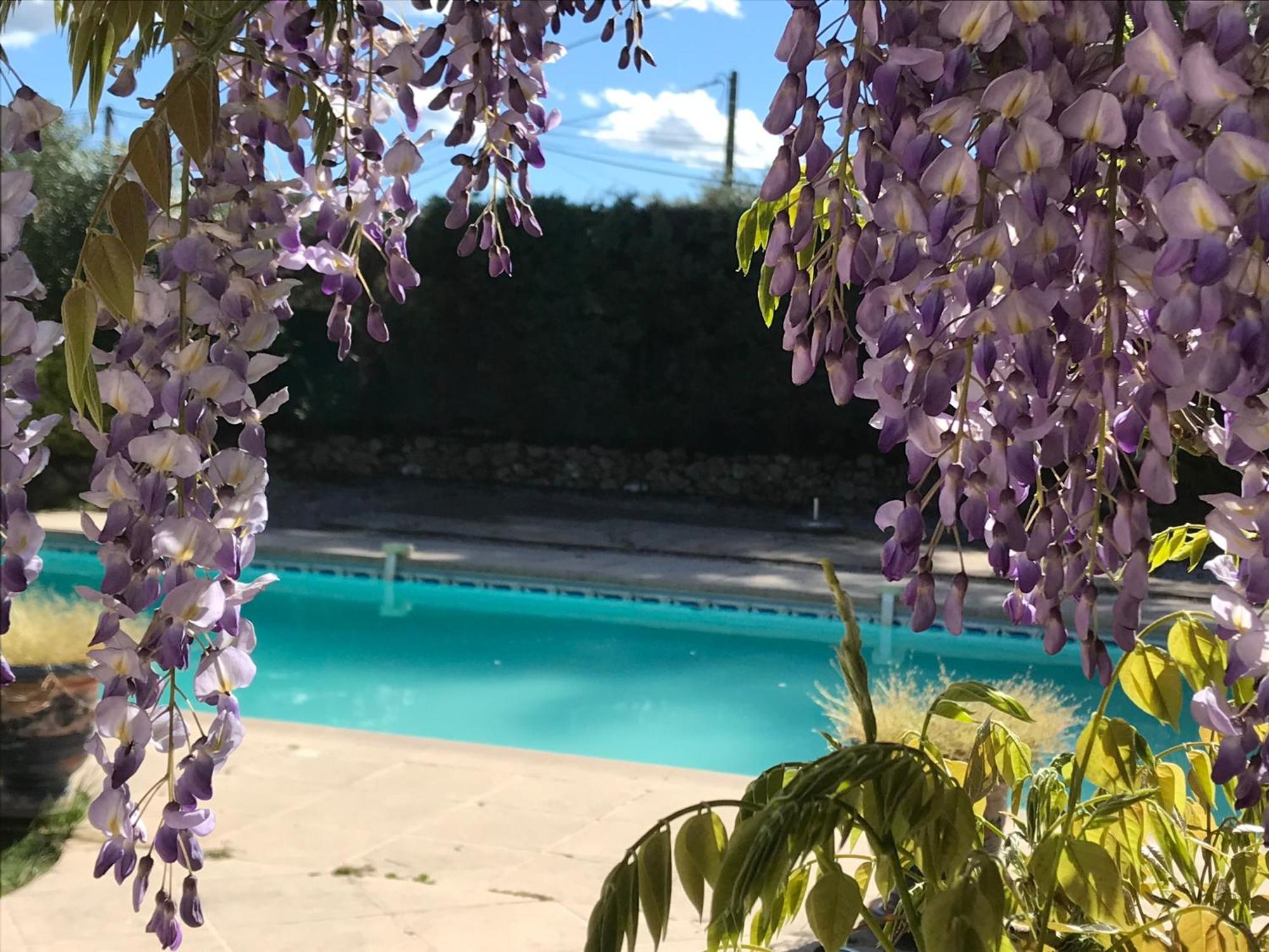 Le Patio Fleuri Hotel Lorgues Eksteriør billede