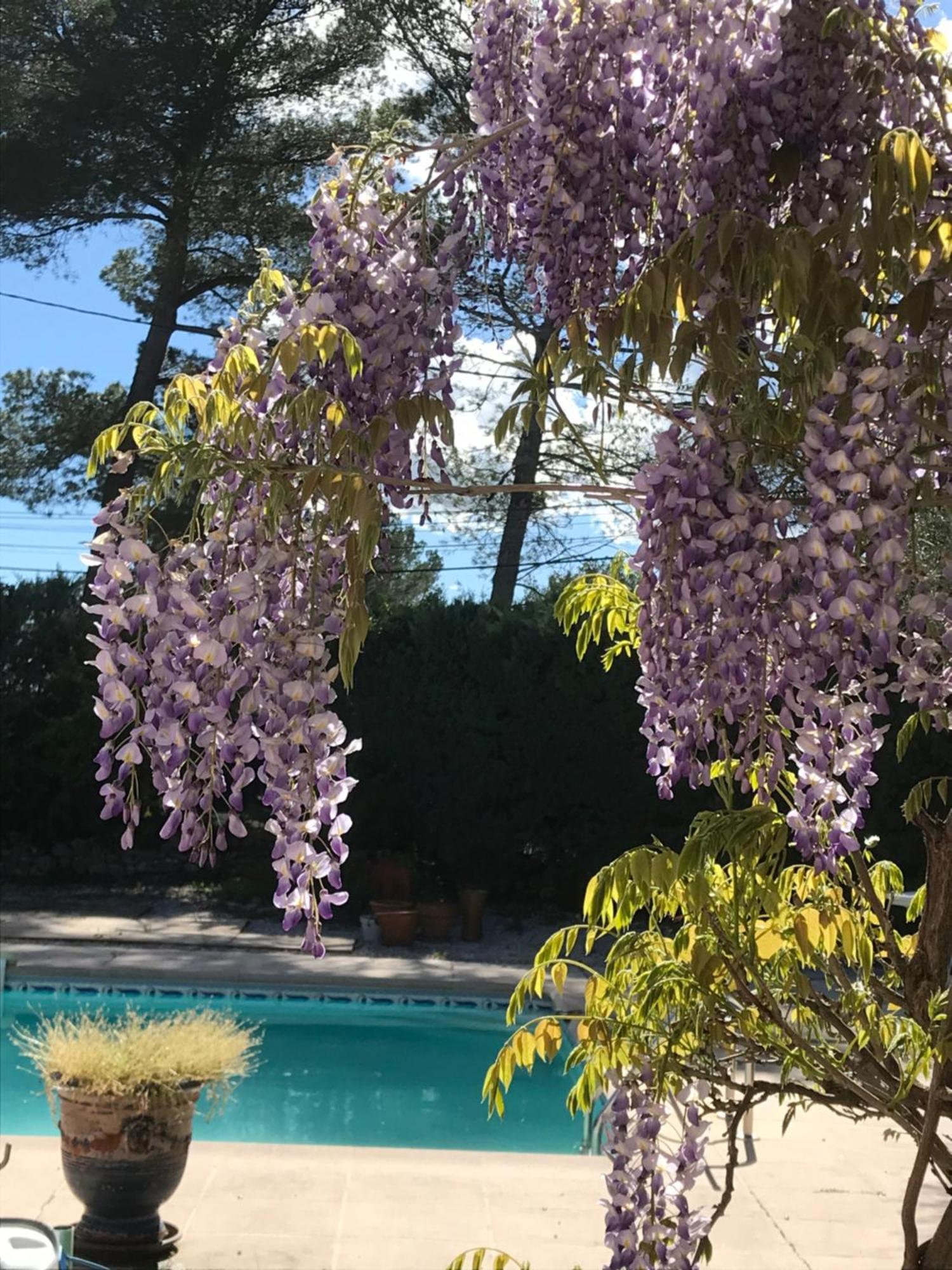 Le Patio Fleuri Hotel Lorgues Eksteriør billede